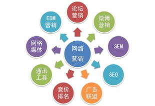 网络营销与网络推广实操指南 从策划到执行的全流程解析