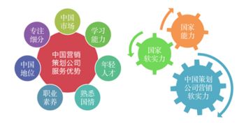中国青年网发布2019年度中国十大营销策划公司排名，南方略咨询连续入榜领衔网络营销策划